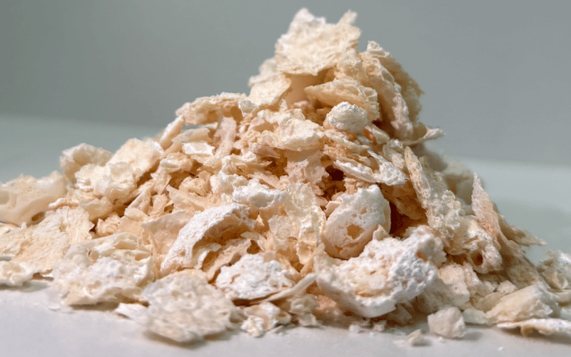 Kobe University achieves breakthrough in biodegradable PET alternative